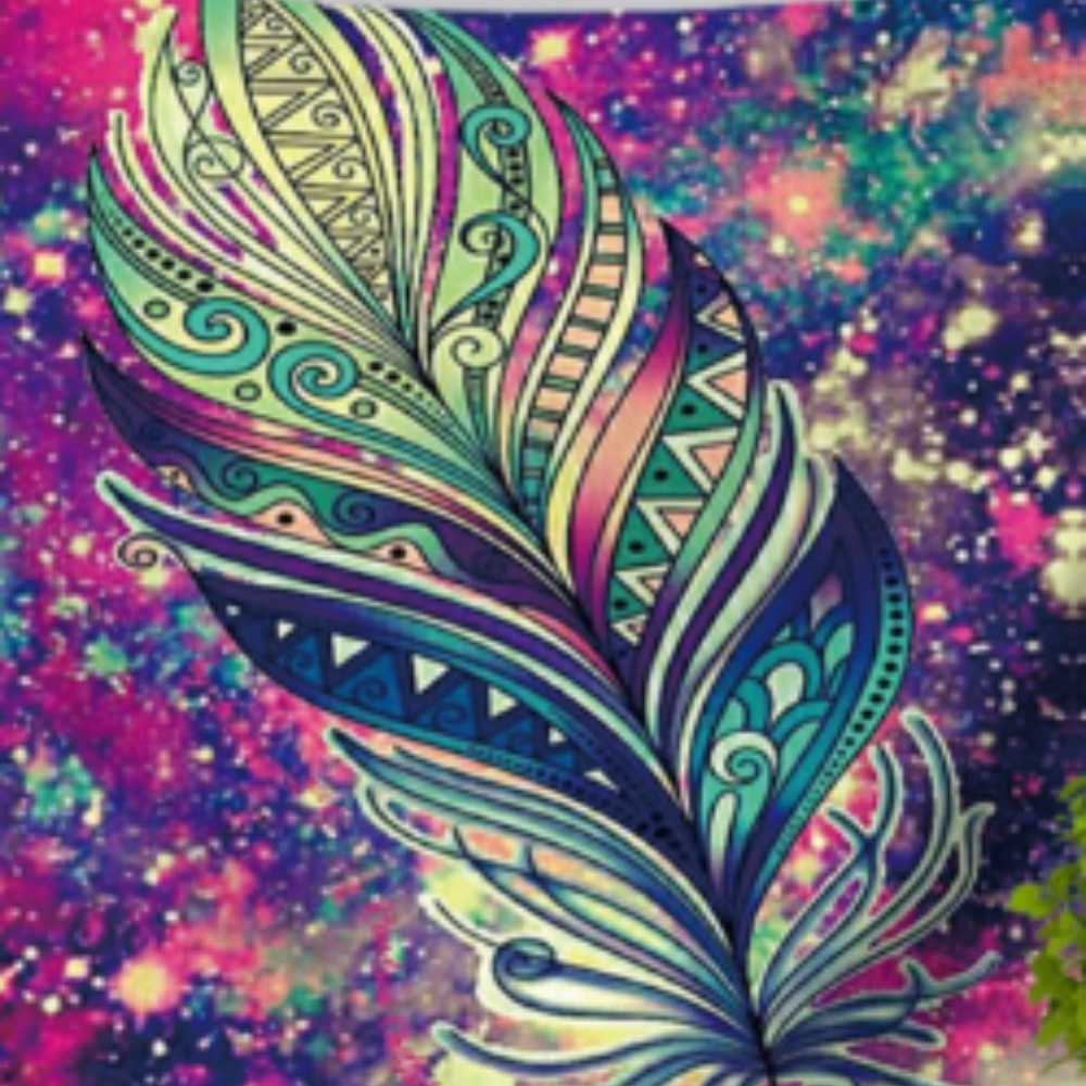 FEATHER PRINT/ GALAXY WALL TAPESTRY - Picture 2 of 3